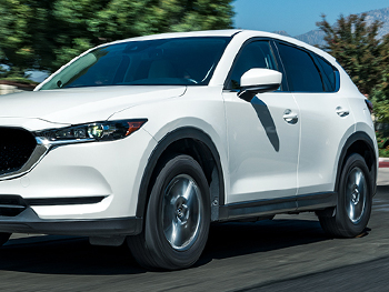 Falken-CUV